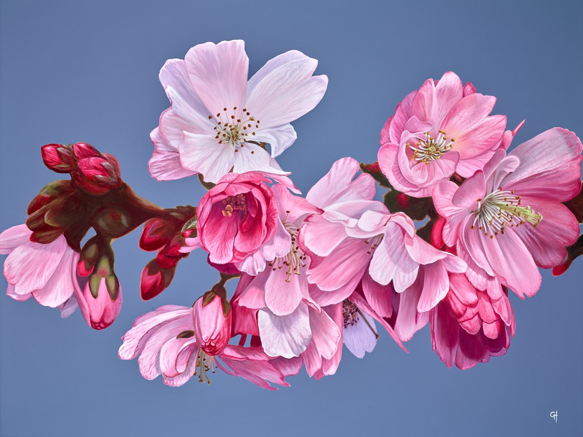 Blossoms image