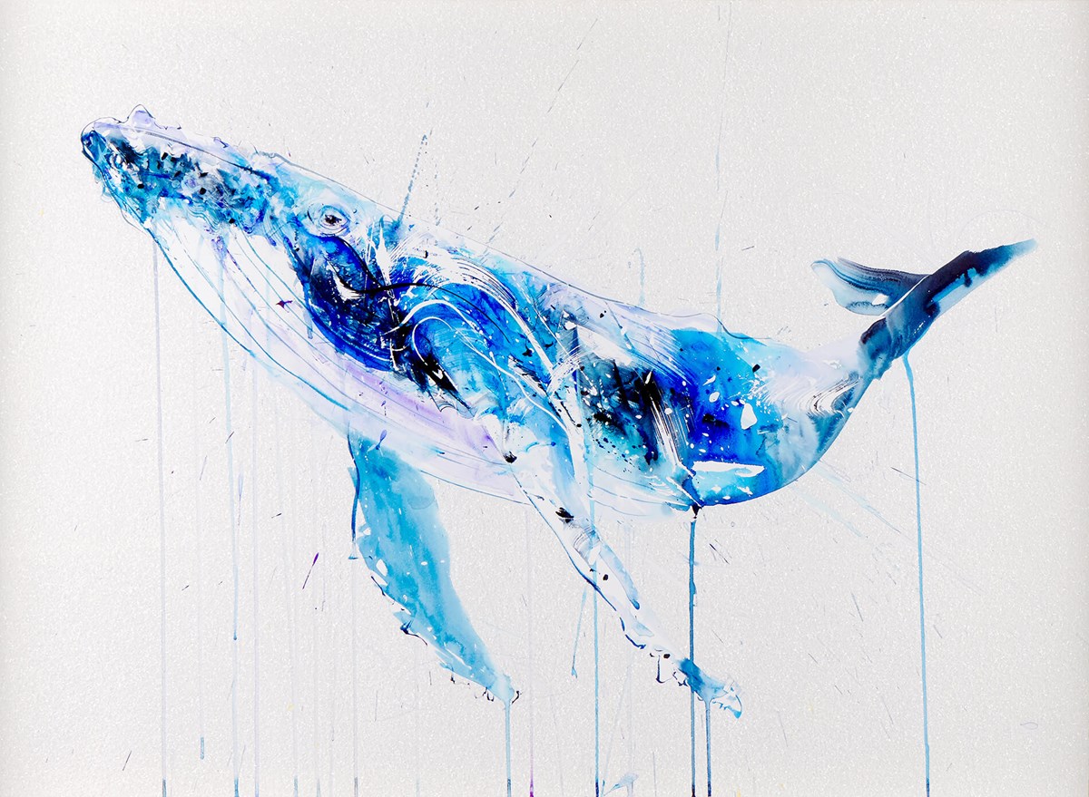 Humpback Whale image