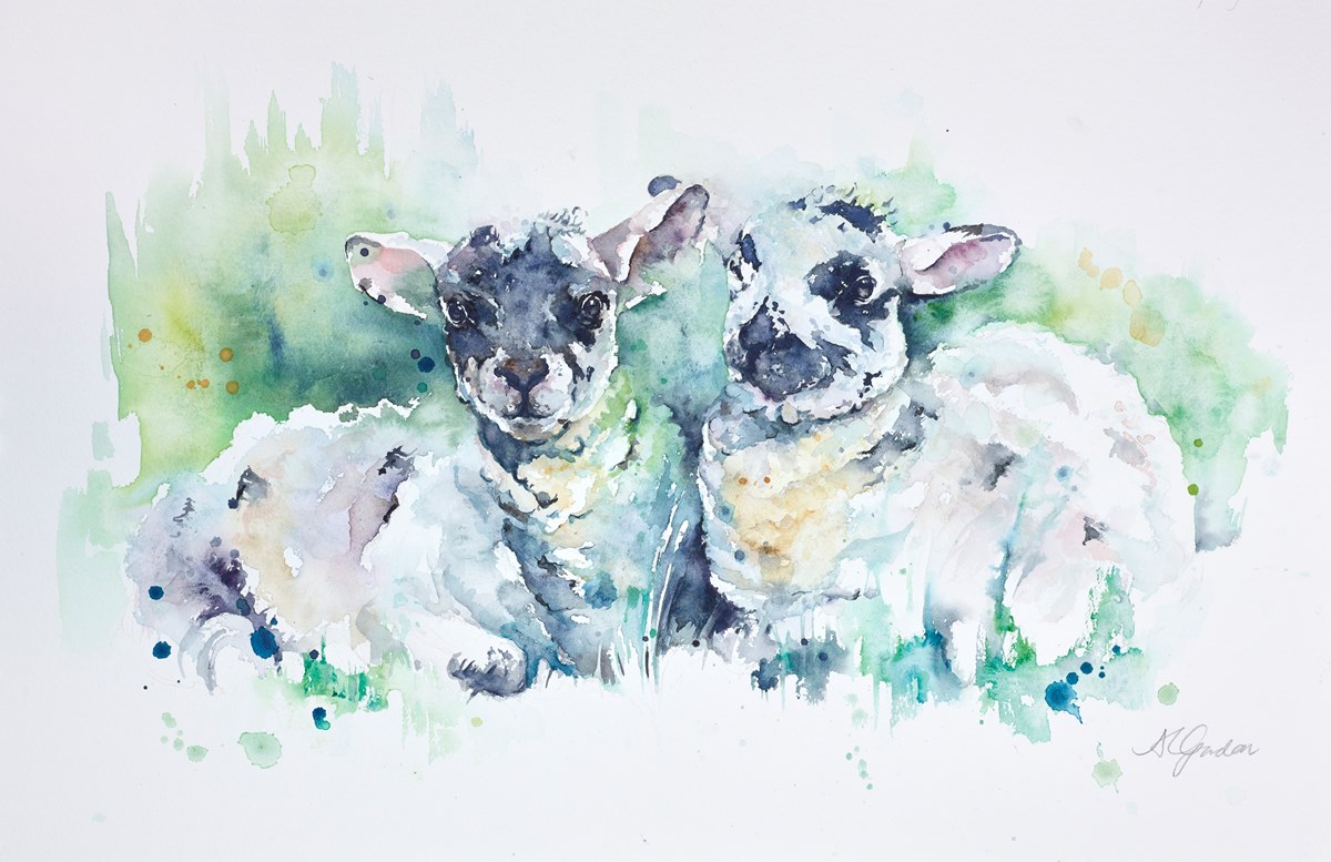Springtime Twins image